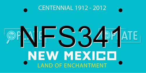 NFS341 New Mexico License Plate