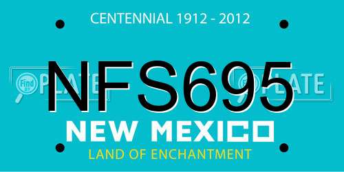 NFS695 New Mexico License Plate