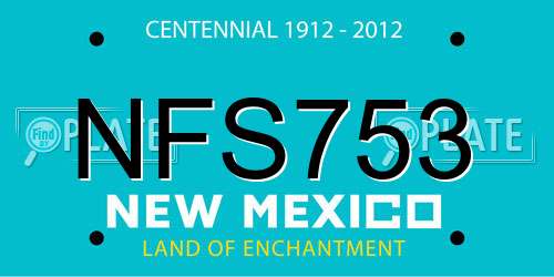 NFS753 New Mexico License Plate