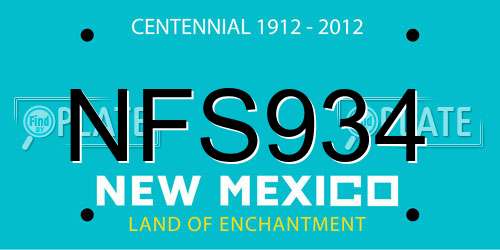 NFS934 New Mexico License Plate