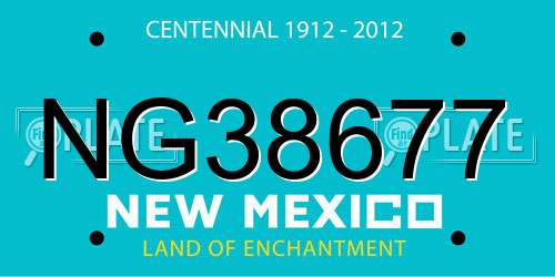 NG38677 New Mexico License Plate