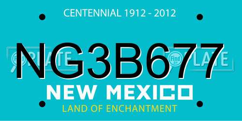 NG3B677 New Mexico License Plate