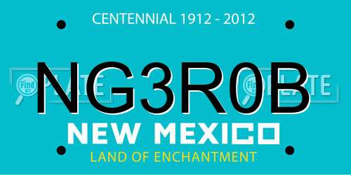 NG3R0B New Mexico License Plate