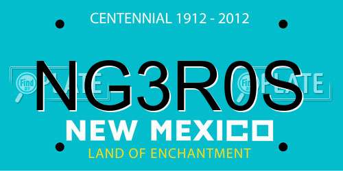 NG3R0S New Mexico License Plate