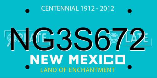 NG3S672 New Mexico License Plate