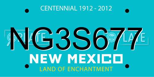 NG3S677 New Mexico License Plate