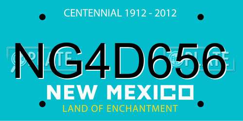 NG4D656 New Mexico License Plate