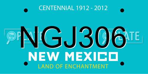 NGJ306 New Mexico License Plate