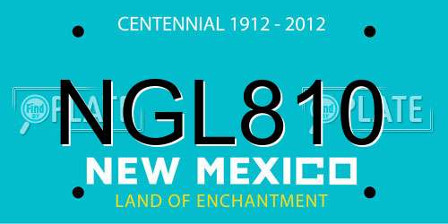 NGL810 New Mexico License Plate