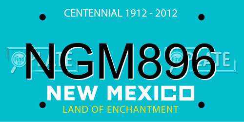 NGM896 New Mexico License Plate