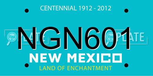 NGN601 New Mexico License Plate
