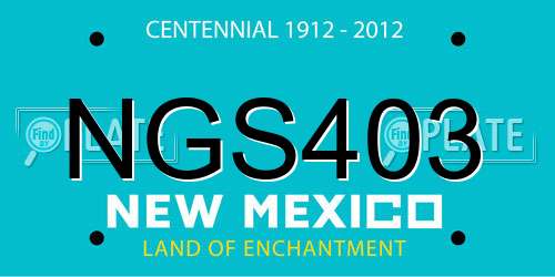 NGS403 New Mexico License Plate