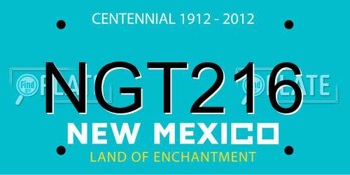 NGT216 New Mexico License Plate