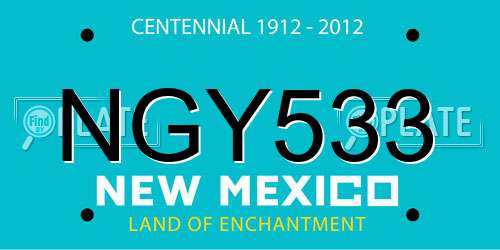 NGY533 New Mexico License Plate