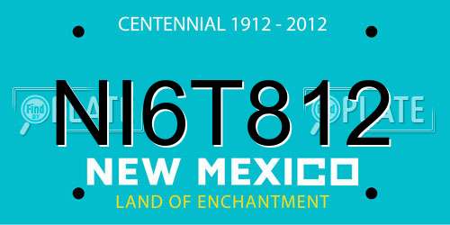 NI6T812 New Mexico License Plate