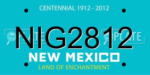 NIG2812 New Mexico License Plate