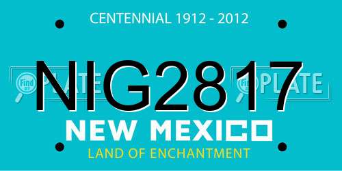NIG2817 New Mexico License Plate