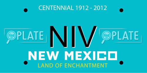 NIV New Mexico License Plate