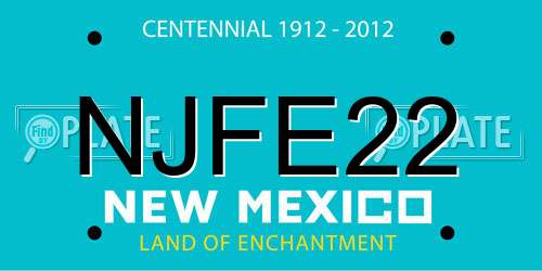 NJFE22 New Mexico License Plate
