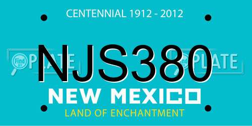NJS380 New Mexico License Plate