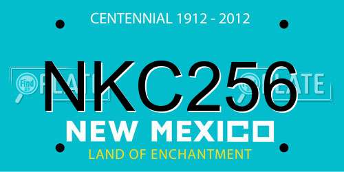 NKC256 New Mexico License Plate