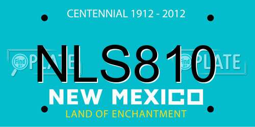 NLS810 New Mexico License Plate