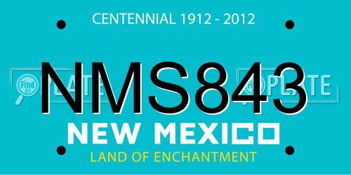 NMS843 New Mexico License Plate