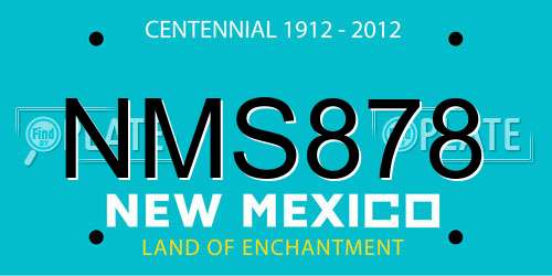 NMS878 New Mexico License Plate