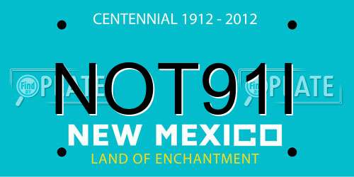 NOT91I New Mexico License Plate