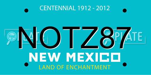 NOTZ87 New Mexico License Plate