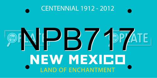 NPB717 New Mexico License Plate