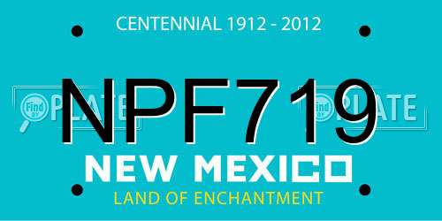 NPF719 New Mexico License Plate