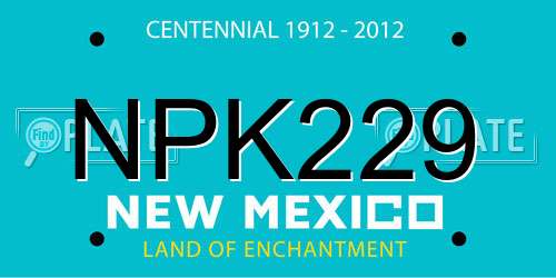 NPK229 New Mexico License Plate