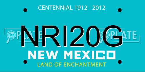 NRI20G New Mexico License Plate