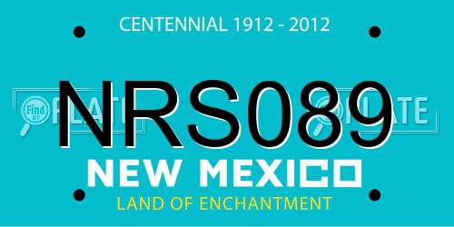 NRS089 New Mexico License Plate
