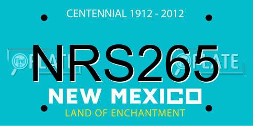 NRS265 New Mexico License Plate