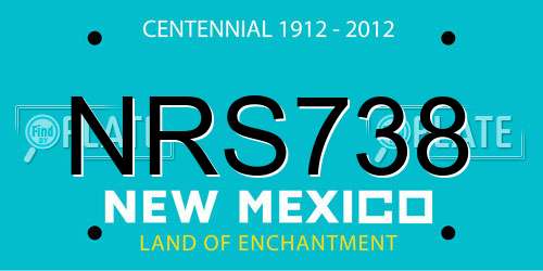 NRS738 New Mexico License Plate