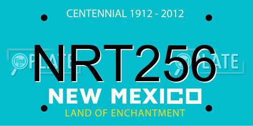 NRT256 New Mexico License Plate