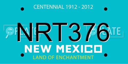 NRT376 New Mexico License Plate