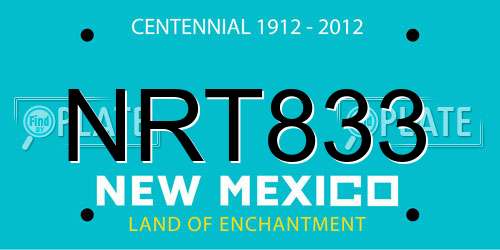 NRT833 New Mexico License Plate