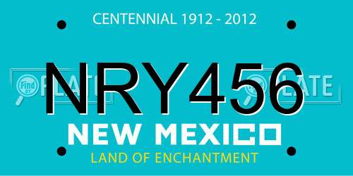 NRY456 New Mexico License Plate