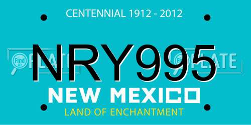 NRY995 New Mexico License Plate