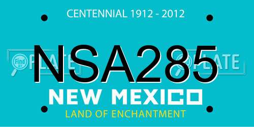 NSA285 New Mexico License Plate