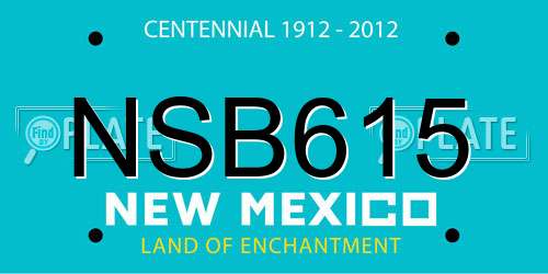 NSB615 New Mexico License Plate