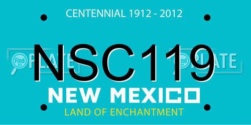 NSC119 New Mexico License Plate