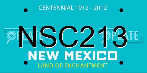 NSC213 New Mexico License Plate