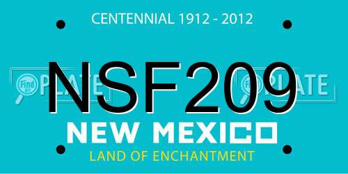NSF209 New Mexico License Plate