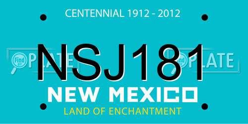 NSJ181 New Mexico License Plate