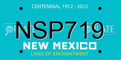 NSP719 New Mexico License Plate