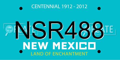 NSR488 New Mexico License Plate